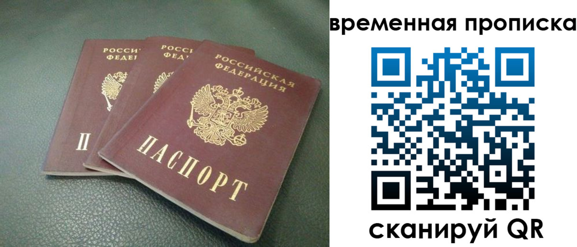 прописка гарантия в Звенигороде